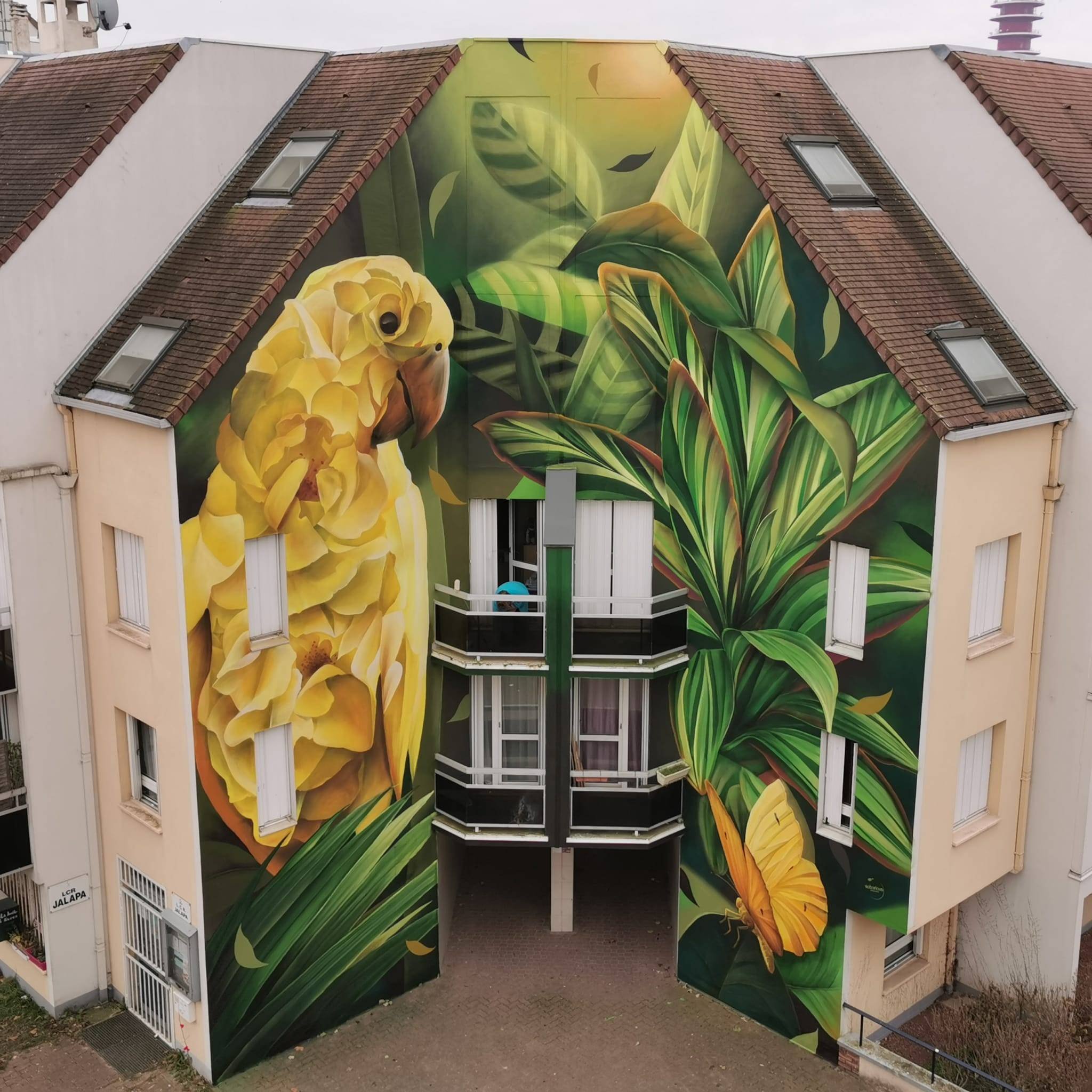 Графіті шоп КЕНС - балончики з фарбою для графіті, все для графіті, розпис муралів, вуличного мистецтва